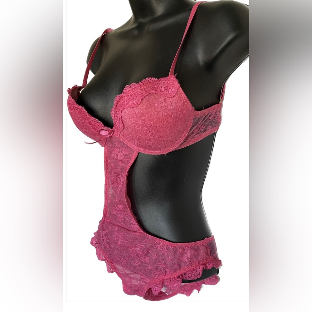 Blush PNK Lace Teddy, S *P1066